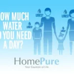 How Much Water Do You Need A Day?