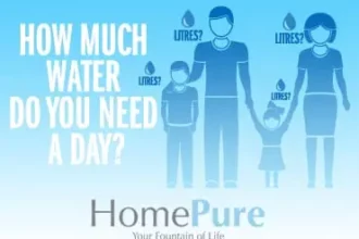 How Much Water Do You Need A Day?