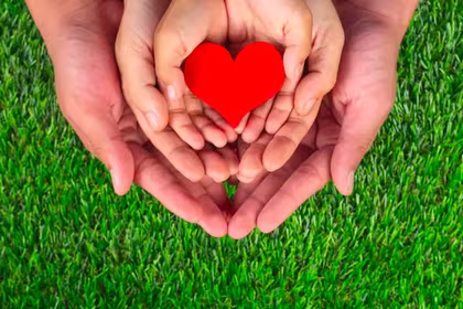 hands holding heart on a green background