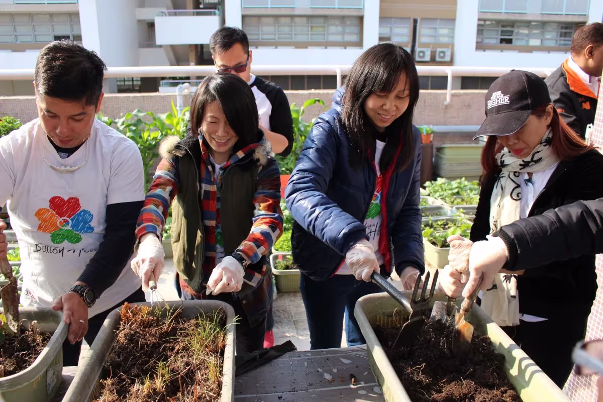 #Betheimpact: How Qnet Has Effected Sustainable Change And Built Communities 3 RYTHM staff planting trees