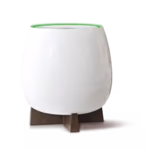 Breathe Easy: Understanding Airborne Health Risks And How To Protect Your Home 3 QNET