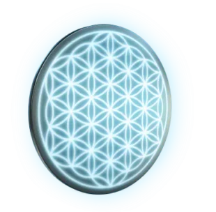QNET